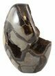 Polished Septarian Geode Sculpture - Black Crystals #45209-1